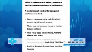 Further dangers of eating chicken you should know