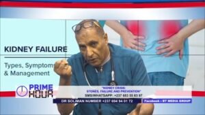 The major causes of kidney failure in Cameroon and Africa